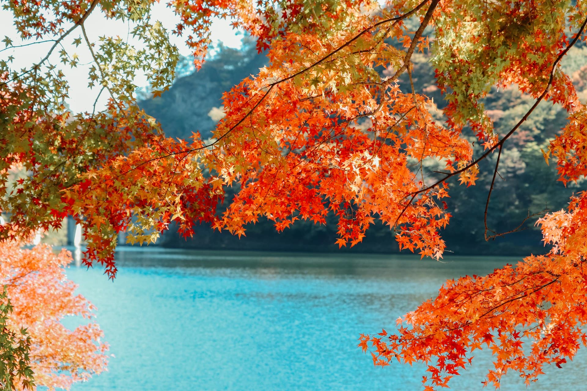 Eikando Temple in Kyoto: Hidden Gem for Autumn Leaves and Serenity