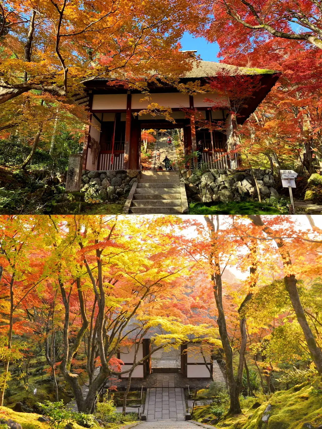 Jojakkoji Temple in Arashiyama during autumn with colorful maple leaves, Kyoto