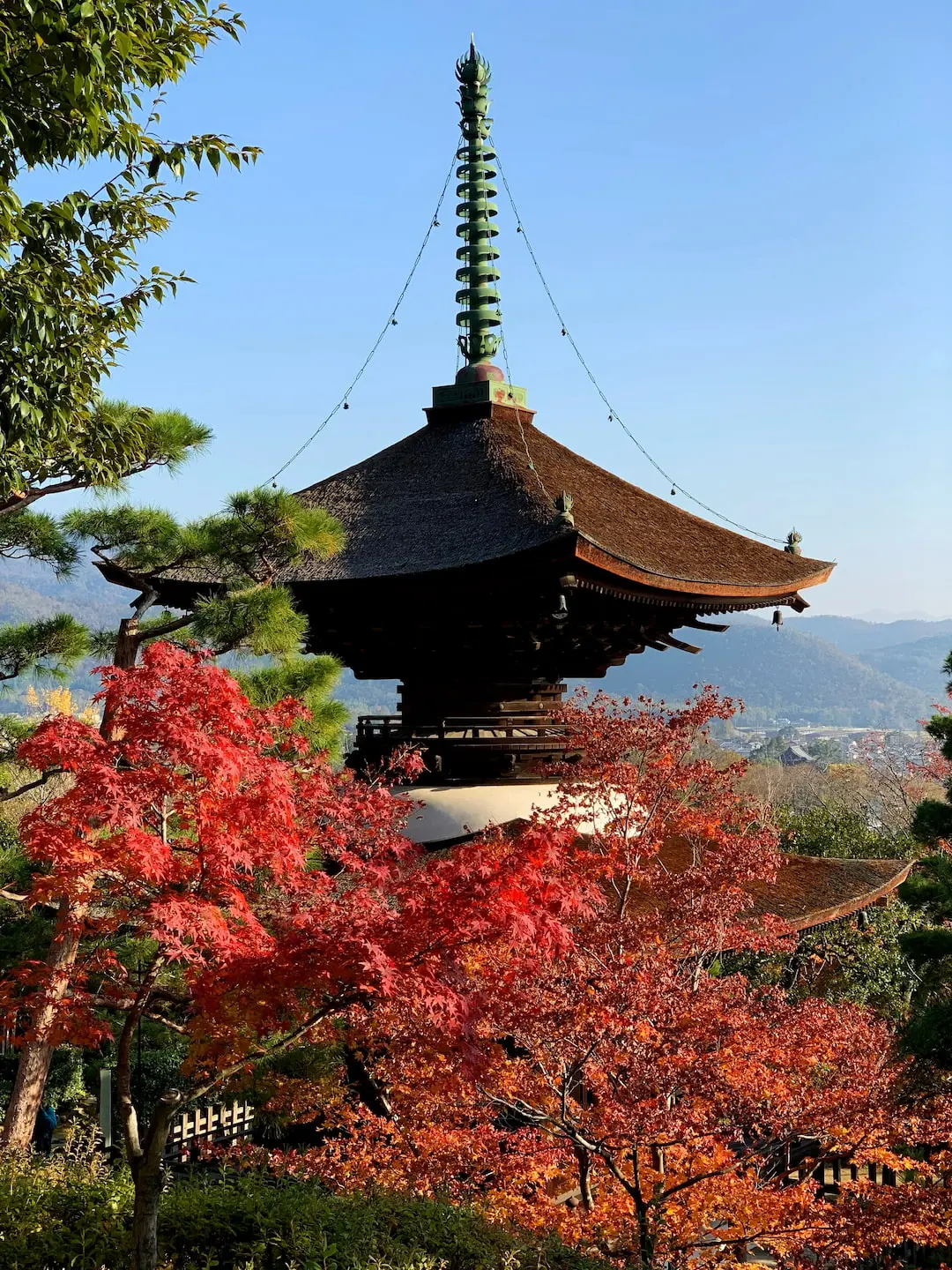 Scenic view of Jojakkoji Temple surrounded by autumn foliage, Arashiyama, Kyoto