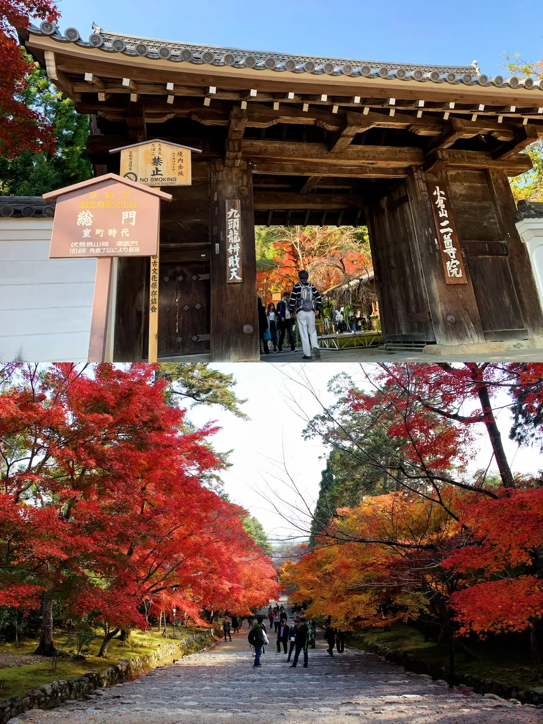 Nisonin Temple’s pathway adorned with autumn leaves, Arashiyama, Kyoto