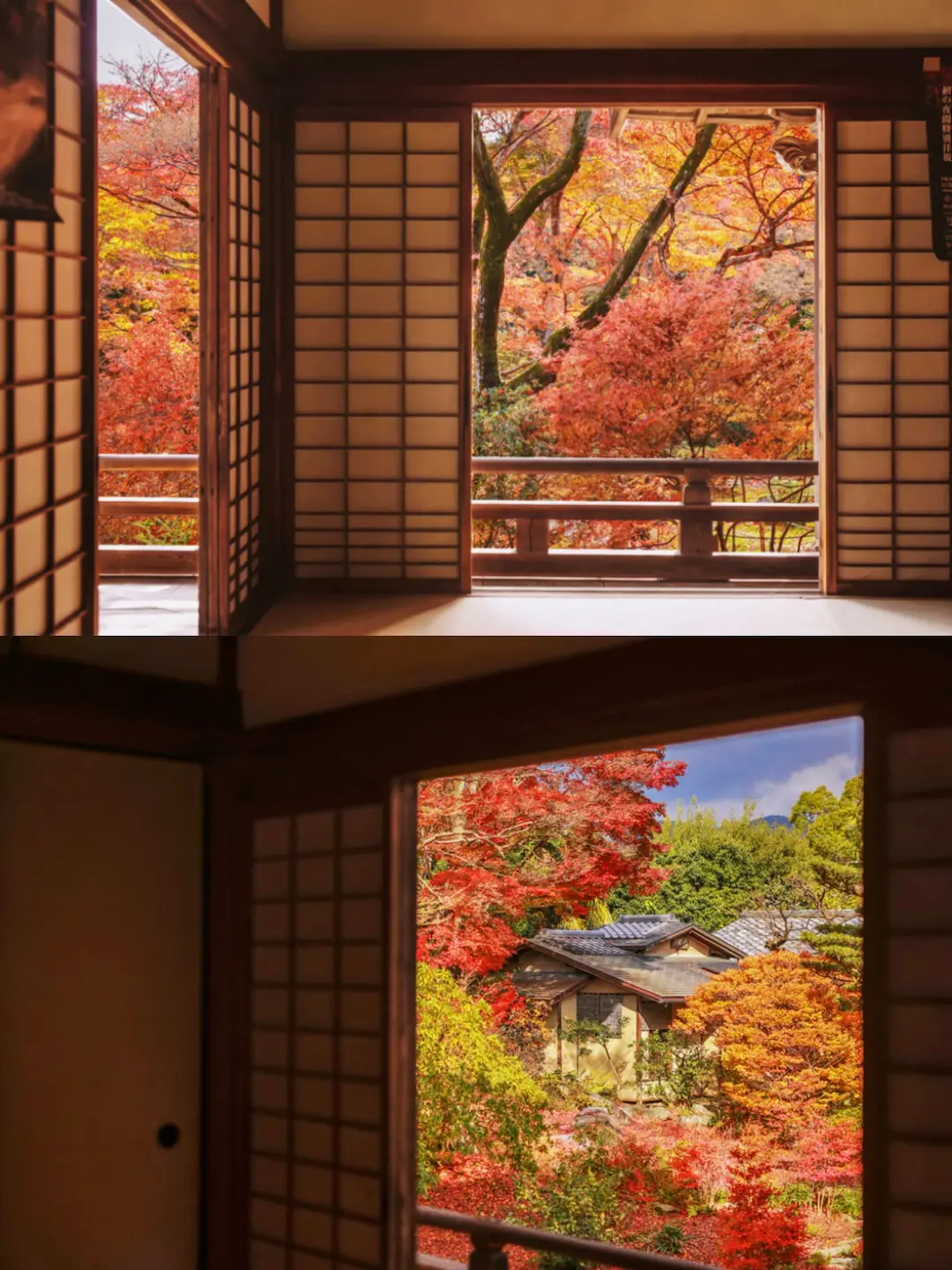 View from Hokyo-in Temple’s main hall featuring autumn foliage, Arashiyama, Kyoto